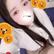 ヒメ日記 2025/11/14 13:00 投稿 ミモザ 飾窓