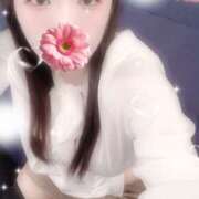 ヒメ日記 2025/11/14 19:40 投稿 ミモザ 飾窓