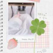 ヒメ日記 2025/11/16 12:00 投稿 ミモザ 飾窓