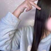 ヒメ日記 2025/11/16 23:00 投稿 ミモザ 飾窓