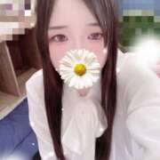 ヒメ日記 2025/11/18 13:00 投稿 ミモザ 飾窓