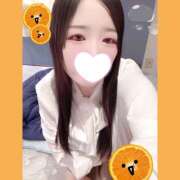 ヒメ日記 2025/11/18 16:00 投稿 ミモザ 飾窓