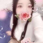 ヒメ日記 2025/11/18 19:00 投稿 ミモザ 飾窓