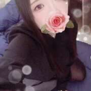 ヒメ日記 2025/11/19 13:00 投稿 ミモザ 飾窓