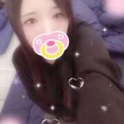 ヒメ日記 2025/11/19 19:00 投稿 ミモザ 飾窓