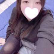 ヒメ日記 2025/11/19 23:00 投稿 ミモザ 飾窓