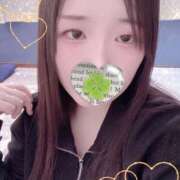 ヒメ日記 2025/11/20 10:20 投稿 ミモザ 飾窓