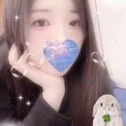 ヒメ日記 2025/11/20 14:05 投稿 ミモザ 飾窓