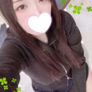 ヒメ日記 2025/11/20 17:05 投稿 ミモザ 飾窓