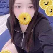 ヒメ日記 2025/11/20 22:05 投稿 ミモザ 飾窓