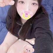 ヒメ日記 2025/11/20 23:50 投稿 ミモザ 飾窓