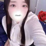 ヒメ日記 2025/11/21 10:20 投稿 ミモザ 飾窓