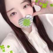 ヒメ日記 2025/11/21 13:00 投稿 ミモザ 飾窓