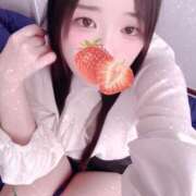 ヒメ日記 2025/11/21 16:00 投稿 ミモザ 飾窓