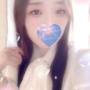 ヒメ日記 2025/11/21 19:15 投稿 ミモザ 飾窓