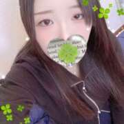 ヒメ日記 2025/11/22 13:30 投稿 ミモザ 飾窓