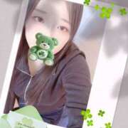 ヒメ日記 2025/11/22 16:00 投稿 ミモザ 飾窓