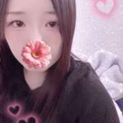 ヒメ日記 2025/11/23 10:10 投稿 ミモザ 飾窓