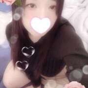 ヒメ日記 2025/11/23 15:58 投稿 ミモザ 飾窓