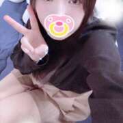 ヒメ日記 2025/11/23 19:00 投稿 ミモザ 飾窓