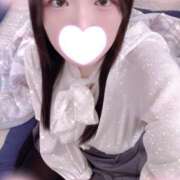 ヒメ日記 2025/11/24 12:00 投稿 ミモザ 飾窓