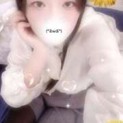 ヒメ日記 2025/11/24 18:00 投稿 ミモザ 飾窓