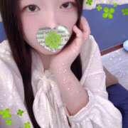 ヒメ日記 2025/11/24 21:00 投稿 ミモザ 飾窓