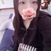 ヒメ日記 2025/11/25 12:00 投稿 ミモザ 飾窓