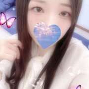 ヒメ日記 2025/11/26 12:00 投稿 ミモザ 飾窓