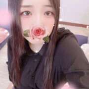 ヒメ日記 2025/11/27 12:15 投稿 ミモザ 飾窓