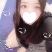 ヒメ日記 2025/11/27 18:00 投稿 ミモザ 飾窓