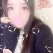 ヒメ日記 2025/11/29 09:00 投稿 ミモザ 飾窓