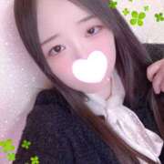 ヒメ日記 2025/11/29 12:00 投稿 ミモザ 飾窓