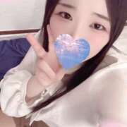 ヒメ日記 2025/11/29 15:00 投稿 ミモザ 飾窓