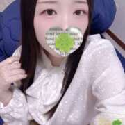 ヒメ日記 2025/11/29 21:00 投稿 ミモザ 飾窓