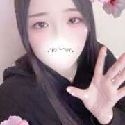 ヒメ日記 2025/11/30 08:00 投稿 ミモザ 飾窓