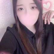 ヒメ日記 2025/11/30 11:00 投稿 ミモザ 飾窓