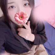 ヒメ日記 2025/11/30 20:00 投稿 ミモザ 飾窓