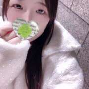 ヒメ日記 2025/11/30 23:00 投稿 ミモザ 飾窓