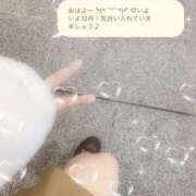 ヒメ日記 2025/12/01 09:00 投稿 ミモザ 飾窓