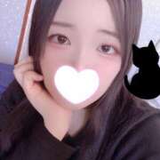 ヒメ日記 2025/12/01 12:10 投稿 ミモザ 飾窓