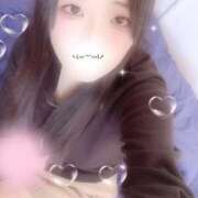 ヒメ日記 2025/12/01 15:10 投稿 ミモザ 飾窓