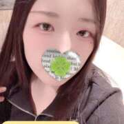 ヒメ日記 2025/12/02 08:32 投稿 ミモザ 飾窓