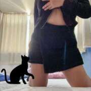 ヒメ日記 2025/12/02 12:00 投稿 ミモザ 飾窓