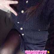 ヒメ日記 2025/12/03 09:00 投稿 ミモザ 飾窓