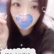 ヒメ日記 2025/12/03 12:00 投稿 ミモザ 飾窓