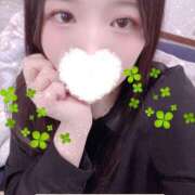 ヒメ日記 2025/12/03 15:05 投稿 ミモザ 飾窓