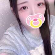 ヒメ日記 2025/12/04 08:00 投稿 ミモザ 飾窓