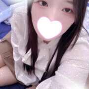 ヒメ日記 2025/12/04 12:00 投稿 ミモザ 飾窓