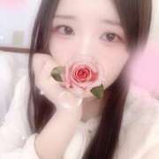 ヒメ日記 2025/12/04 12:30 投稿 ミモザ 飾窓